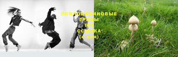 spice Абдулино