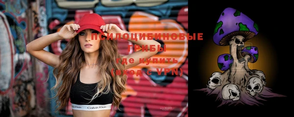 бошки Абинск