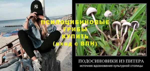 бошки Абинск