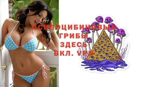 spice Абдулино