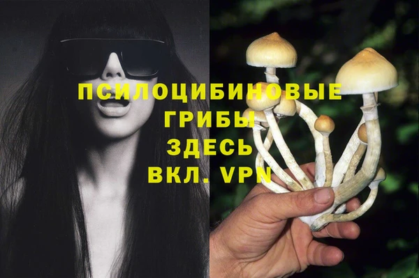 spice Абдулино