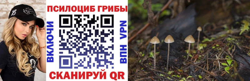 Галлюциногенные грибы MAGIC MUSHROOMS  купить   Тетюши 